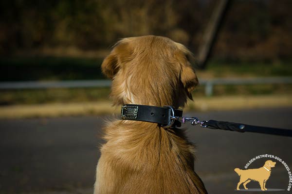 Leather Golden Retriever Collar with Rust-proof Buckle and D-ring