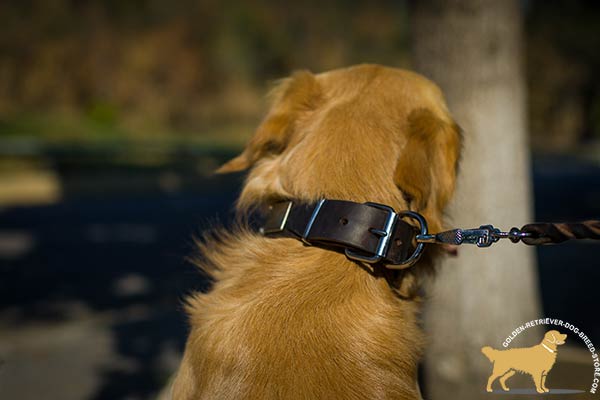 Comfy to Adjust Leather Dog Collar with Nickel-plated Hardware