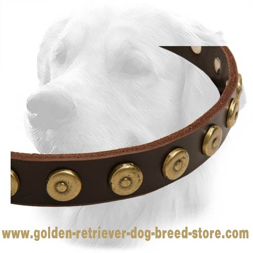 Golden Retriever Dog Leather Collar Brass Circles