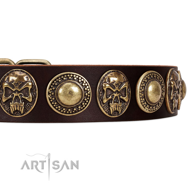 Full grain natural leather dog collar with decorations for walking
