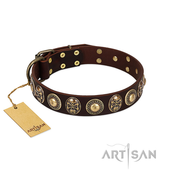 Impressive full grain natural leather dog collar for daily use