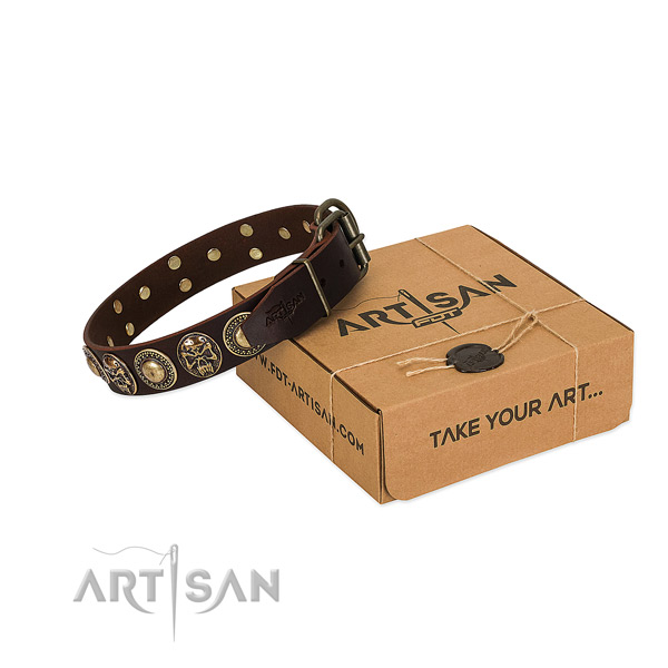 Rust-proof adornments on dog collar for everyday use