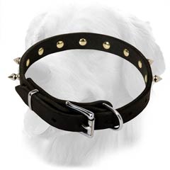 Golden Retriever Leather Collar With Spikes