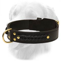 Golden Retriever Leather Collar With Braids And Studs