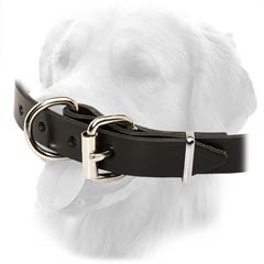 Golden Retriever Collar With Nickel Plated Hardware