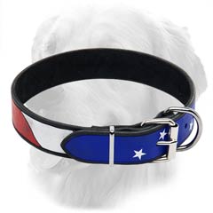 Golden Retriever Leather Collar with American Flag  Drawing