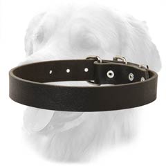 Ergonomic Design Durable Leather Collar