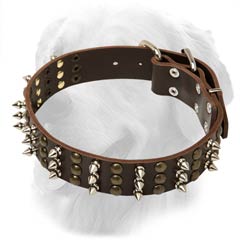 Golden Retriever Leather Collar With Spikes And Studs