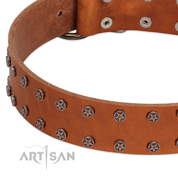 Adorned full grain natural leather dog collar for handy use