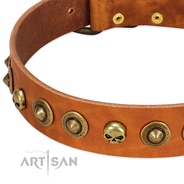 Fashionable decorations on full grain leather collar for your four-legged friend