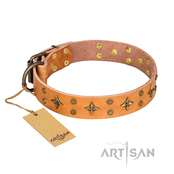 Basic training dog collar of quality genuine leather with studs