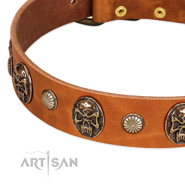 Rust resistant buckle on leather dog collar for your pet
