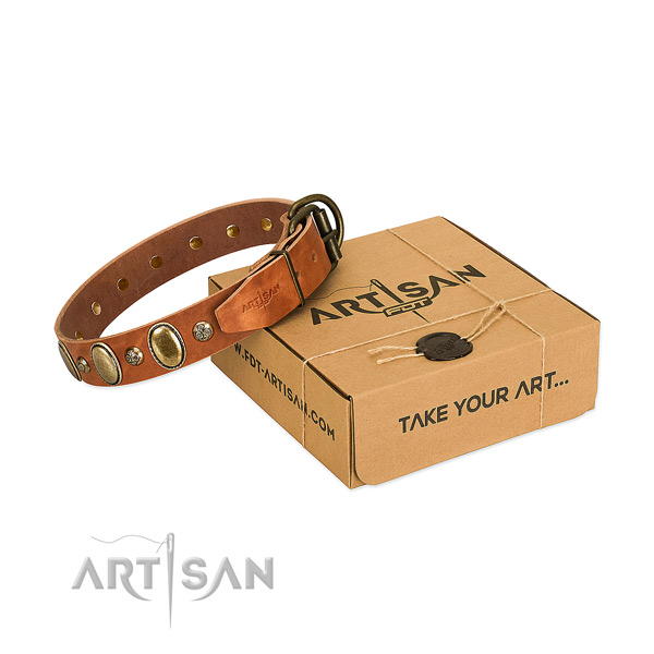 Comfortable genuine leather dog collar with reliable fittings