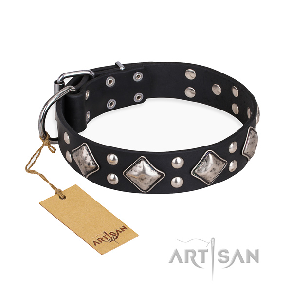 Walking exquisite dog collar with corrosion resistant hardware