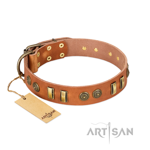 Corrosion proof D-ring on full grain genuine leather dog collar for your four-legged friend