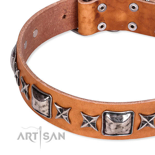Easy wearing studded dog collar of fine quality full grain leather