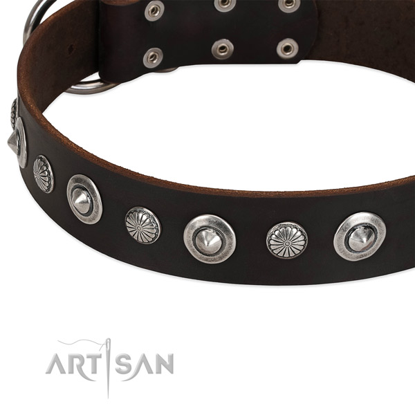 Fashionable decorated dog collar of reliable full grain leather