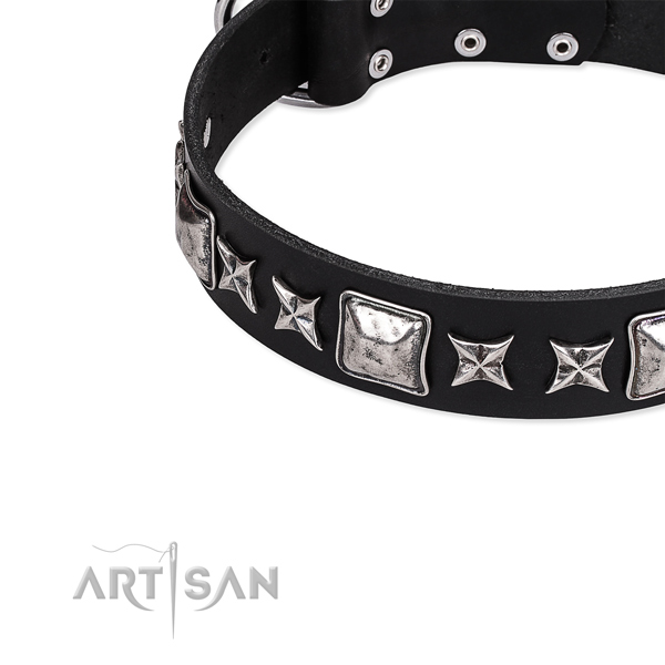 Everyday use studded dog collar of high quality full grain leather