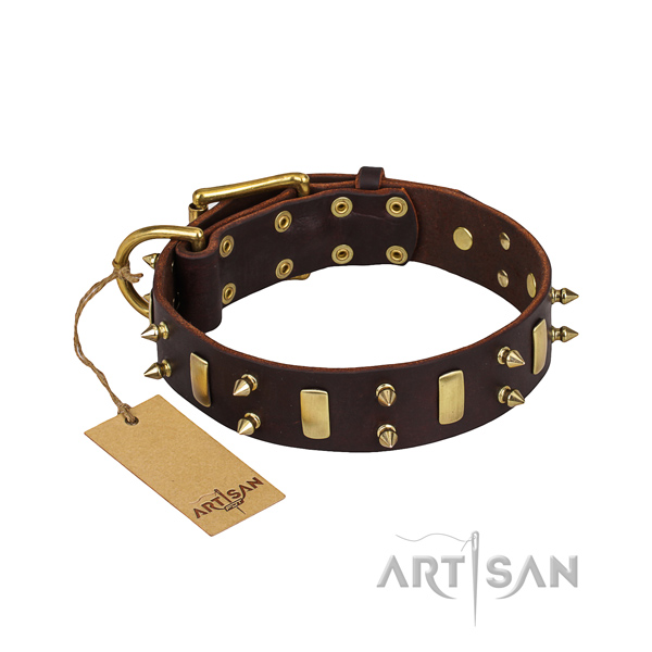 Walking dog collar of reliable genuine leather with adornments