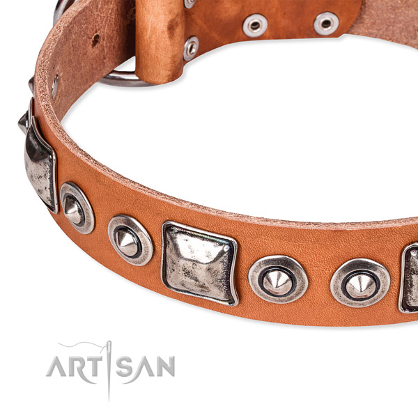 High quality genuine leather dog collar crafted for your stylish doggie