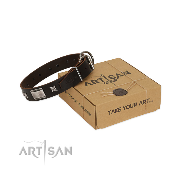 Fashionable collar of natural leather for your beautiful four-legged friend