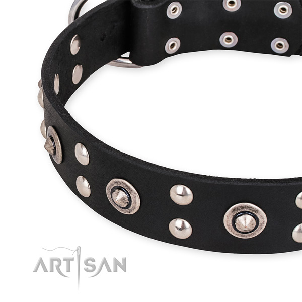 Natural leather collar with rust-proof buckle for your impressive four-legged friend