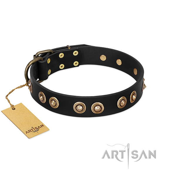 Trendy full grain natural leather collar for your dog