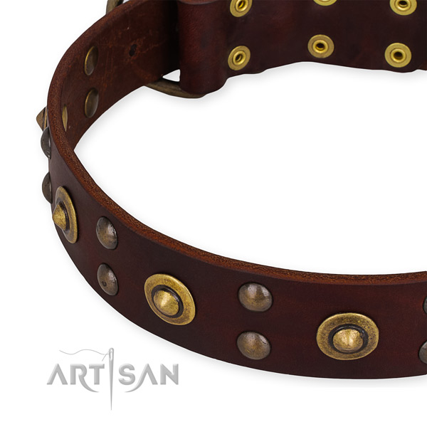 Full grain genuine leather collar with rust resistant traditional buckle for your impressive pet