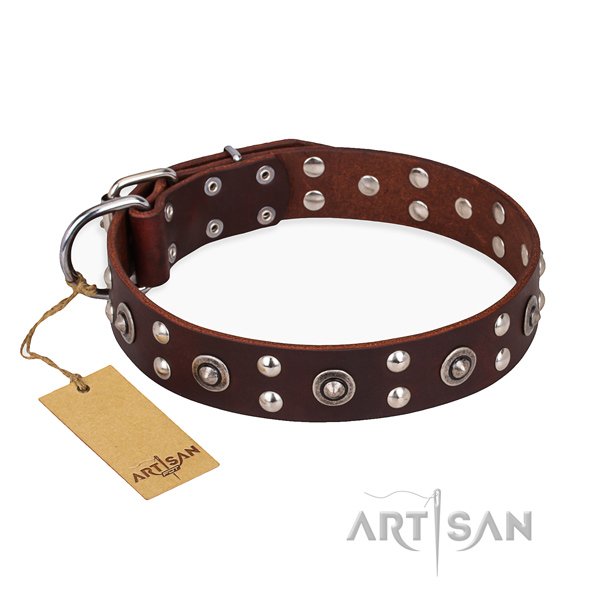 Fancy walking perfect fit dog collar with rust resistant D-ring