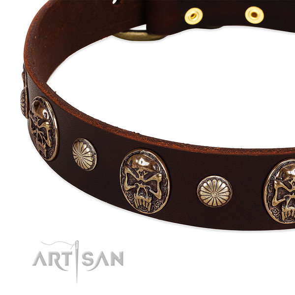 Full grain genuine leather dog collar with adornments for daily walking