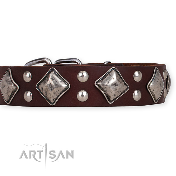Full grain genuine leather dog collar with remarkable corrosion resistant embellishments