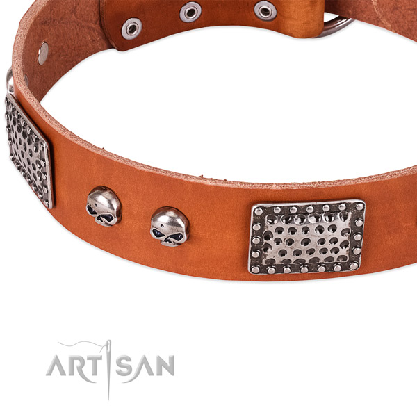 Rust-proof adornments on full grain genuine leather dog collar for your pet