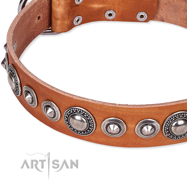 Handy use studded dog collar of finest quality full grain genuine leather
