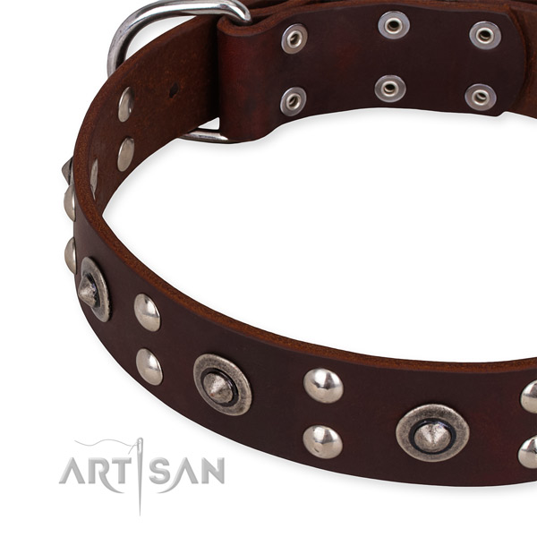 Genuine leather collar with corrosion proof D-ring for your lovely doggie