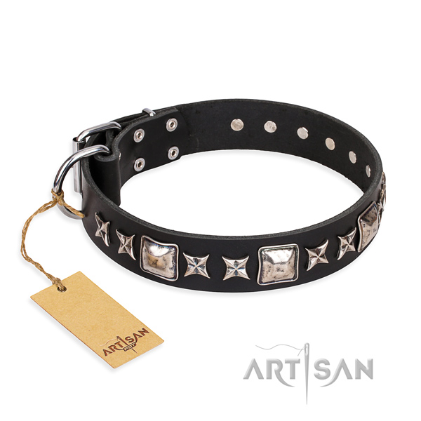 Daily use dog collar of fine quality full grain genuine leather with embellishments