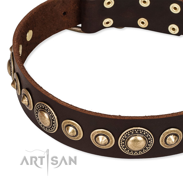 Gentle to touch genuine leather dog collar created for your beautiful four-legged friend