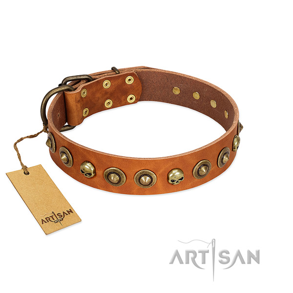 Full grain natural leather collar with stylish adornments for your doggie
