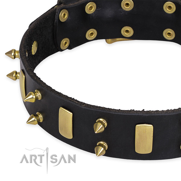 Basic training adorned dog collar of strong full grain genuine leather