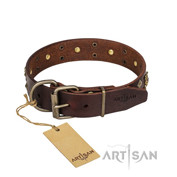 Stylish walking dog collar of strong full grain natural leather with adornments
