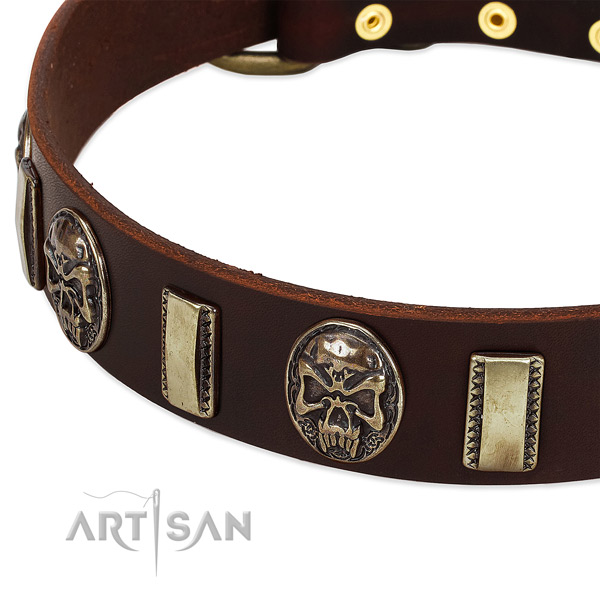 Rust-proof decorations on leather dog collar for your dog
