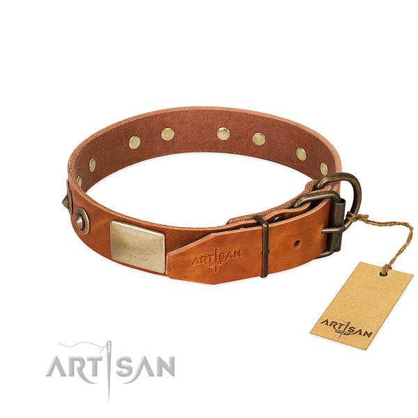 Rust resistant adornments on genuine leather dog collar for your doggie