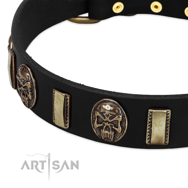 Corrosion proof decorations on genuine leather dog collar for your four-legged friend