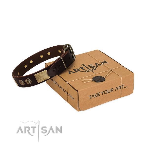 Rust-proof traditional buckle on full grain leather dog collar for your doggie