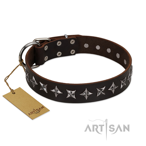 Handy use dog collar of best quality genuine leather with adornments