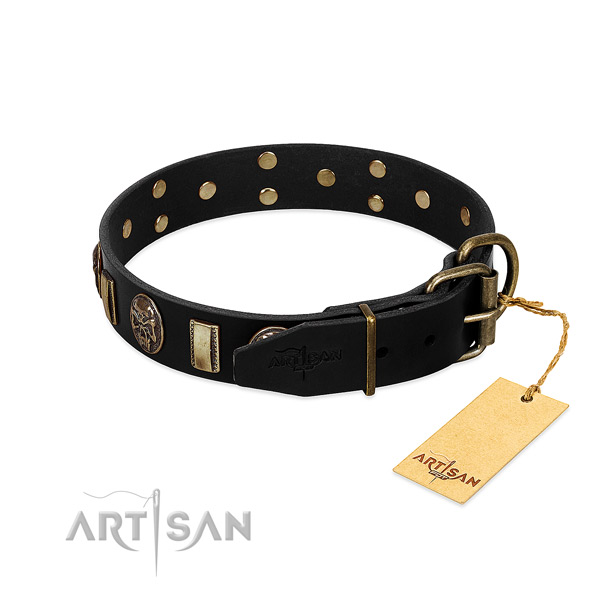 Genuine leather dog collar with rust-proof fittings and embellishments