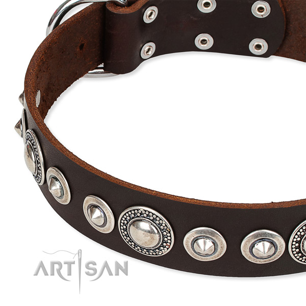 Daily walking studded dog collar of strong full grain genuine leather