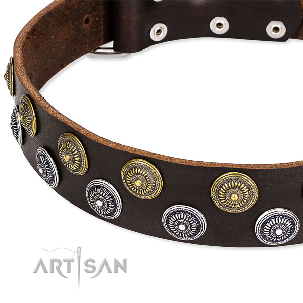Walking adorned dog collar of top notch full grain genuine leather