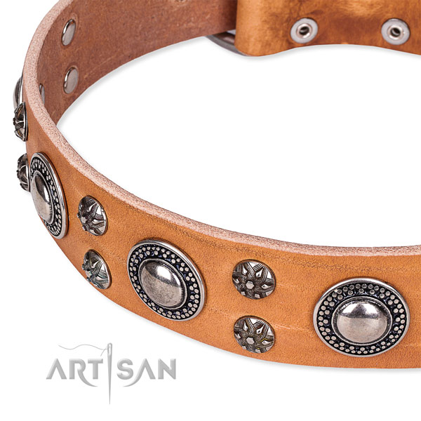 Daily use adorned dog collar of finest quality full grain genuine leather