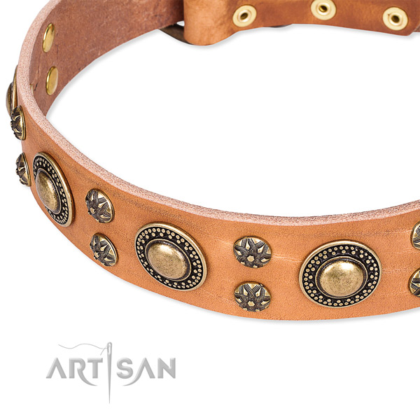 Everyday walking decorated dog collar of quality full grain leather