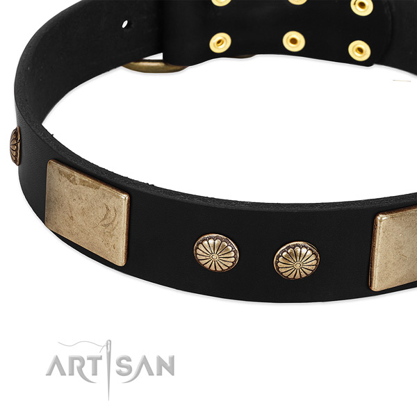 Leather dog collar with decorations for handy use